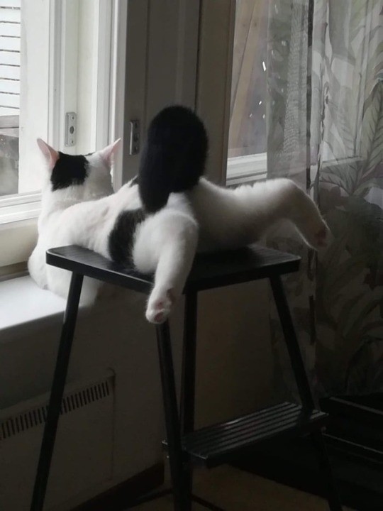 manque action