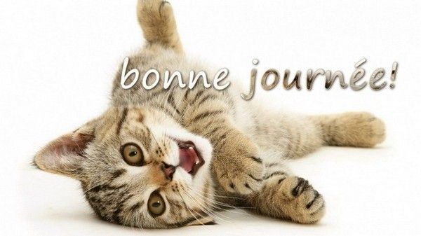 bonne journée