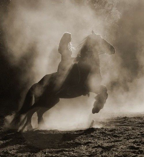 Un cheval dans la brume...