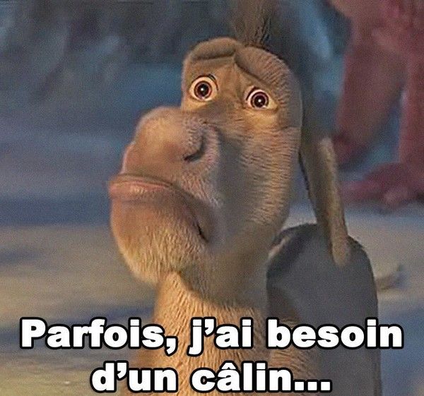 vite vite...