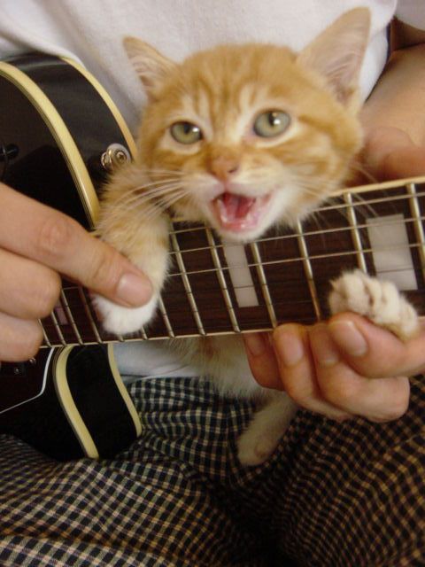 J'apprends la guitare...