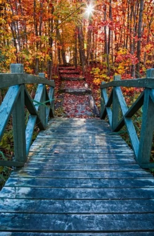 Pont d'automne