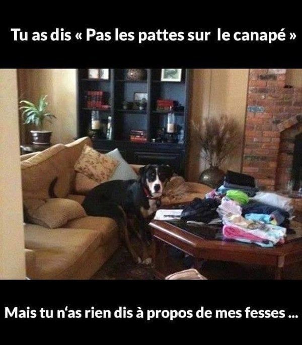 j'ai pas ..hi.hi..