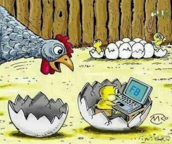 Humour Bd..hi.hi..