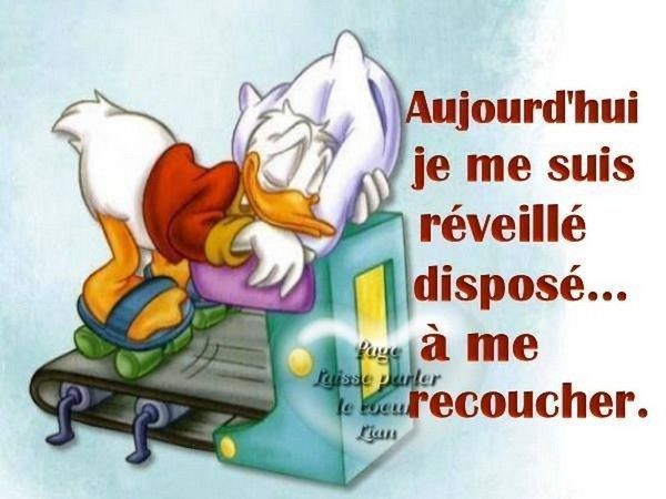 oui..car chat 