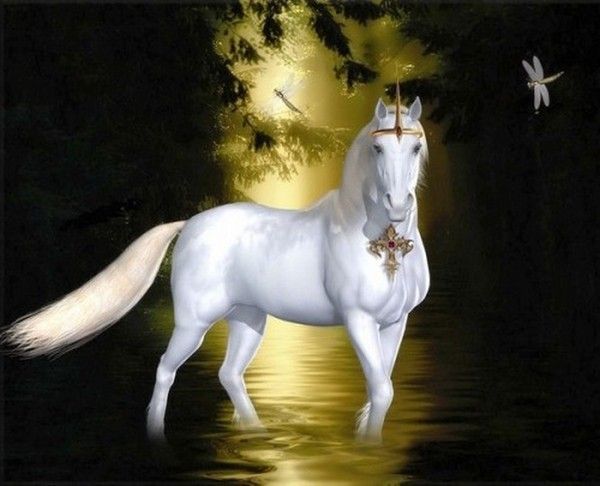 la licorne d'abondance