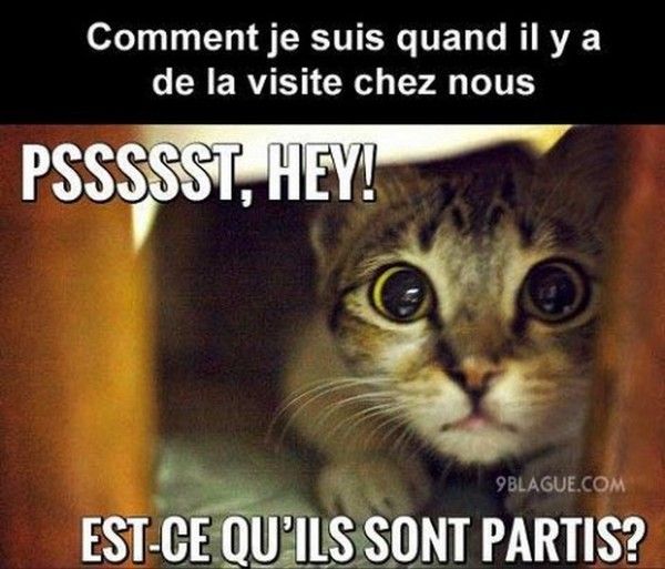 hello..ces qui..hi.hi..
