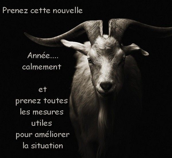 conseil...d'un sage..hi.hi..