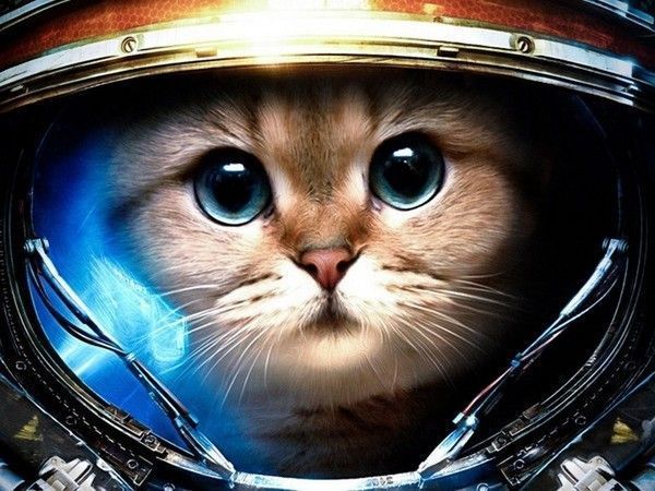 seul...sur mars...