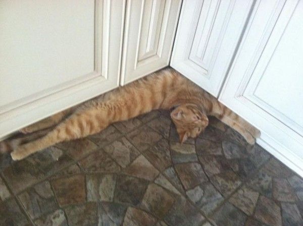 Besoin d'un Kiro....lol....