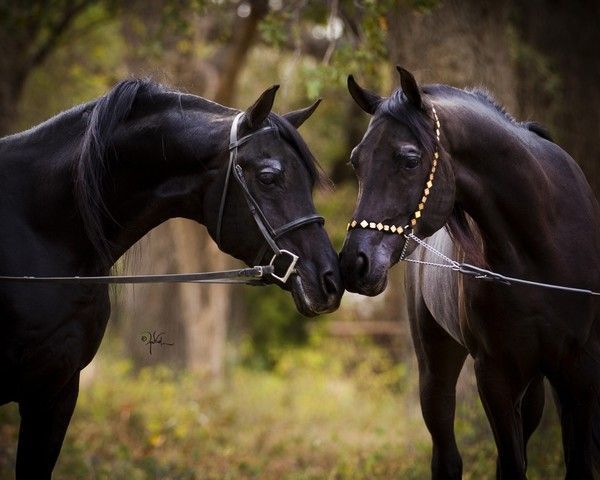 Moment tendre