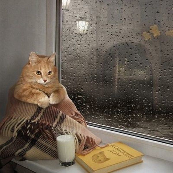 encore....des plans