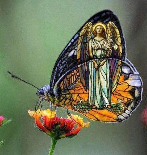 Un Saint Papillon..