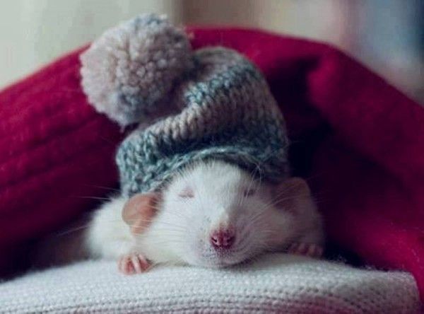 moi...chui paré..hi.hi..