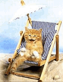 catstrand.gif