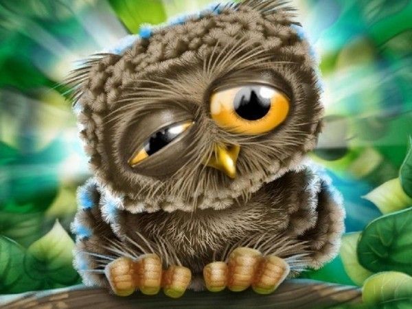 bon matin..hi.hi..