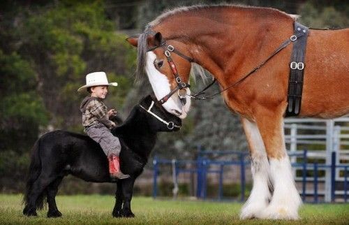 Moi...le gros et toi...le petit...