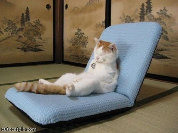 Sieste feng shui