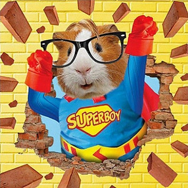 on met du punch.........hi.hi..