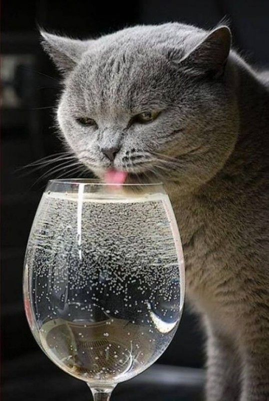 et mon apéro