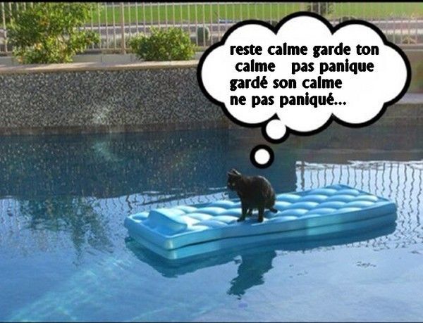 panique abord..hi.hi..