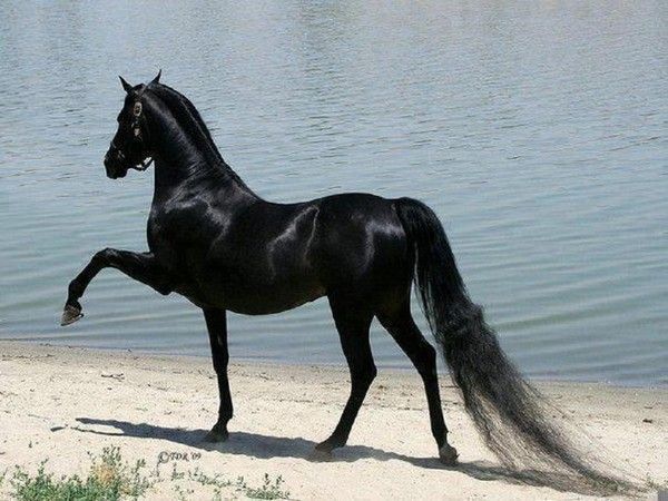 Trop...classe...