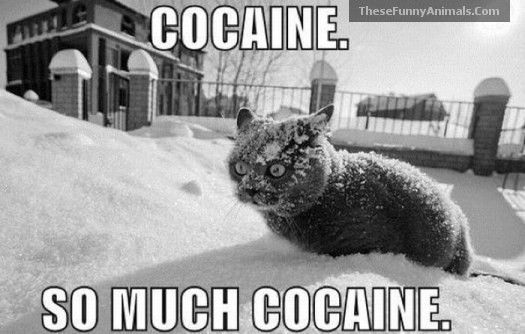 Drogue