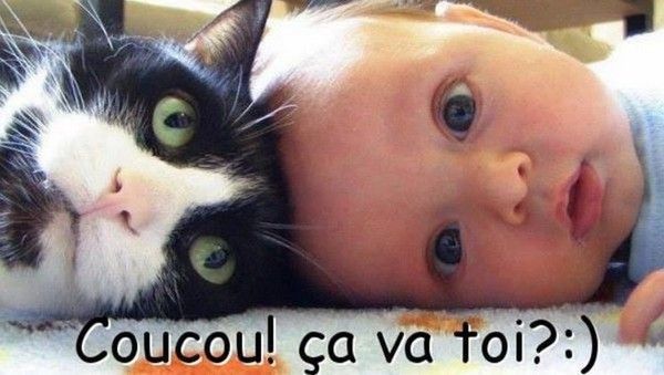 coucou...