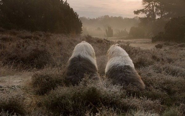 toujours aussi frisquet....