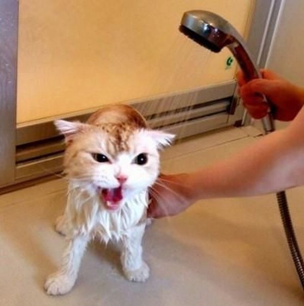 une bonne douche itou..hi.hi..