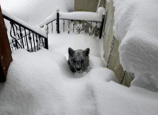maudite hiver