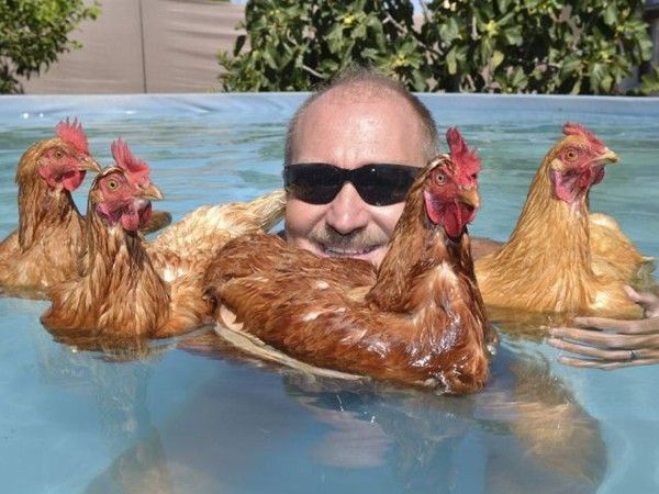 Les poulettes en vacances..hi.hi..