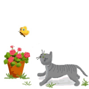 chatquipapille4.gif