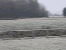 chevalacourse.gif