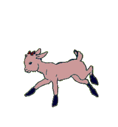 chevrebiquette34.gif