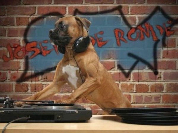 Le DJ de se soir...