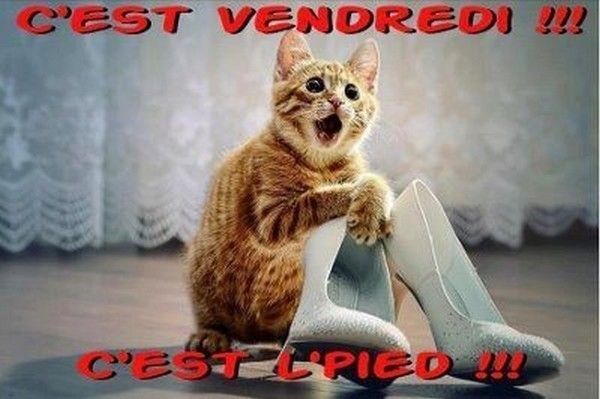 le pied 