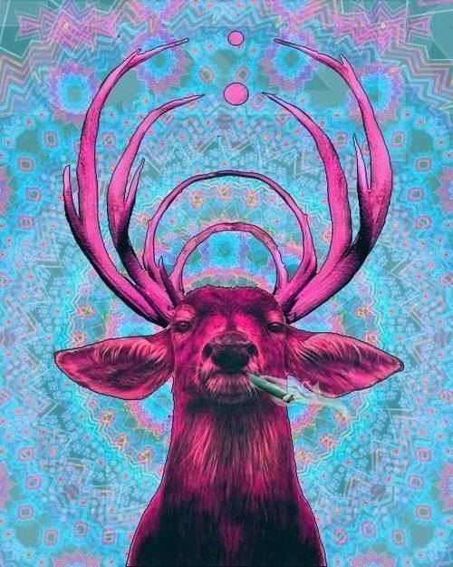 Reste.....  Zen   chasseur...