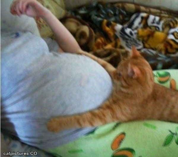 Il aime déjà ce bébé