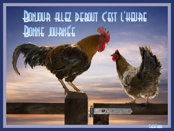 BONJOUR BON MATIN...