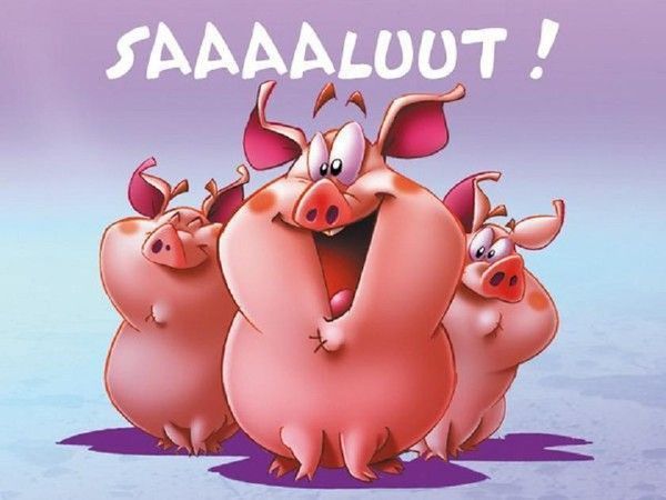 Salut....cochons...hi..hi..