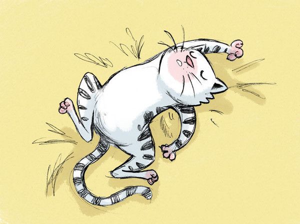 bon chat bon matin