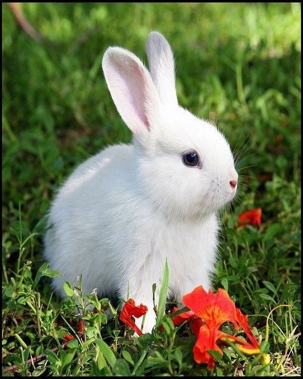 Trop..beau....