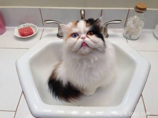 bah..un bain...