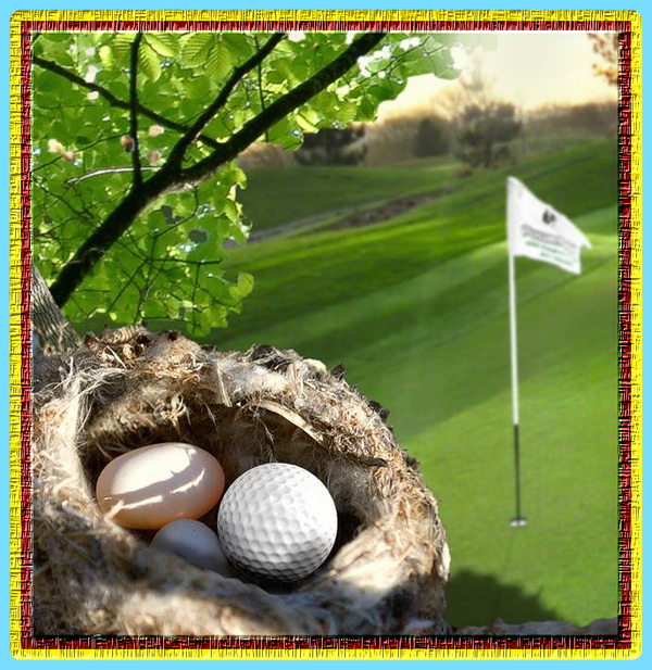 Golf du printemps....