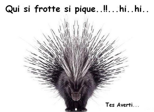 Humour BD