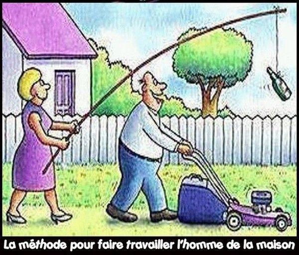 Humour BD