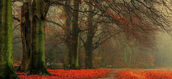 Jolie paysage automne