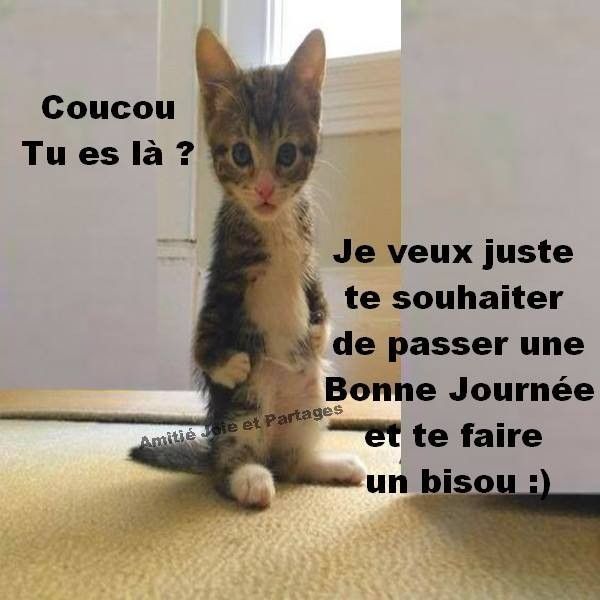 une coucou de bel
