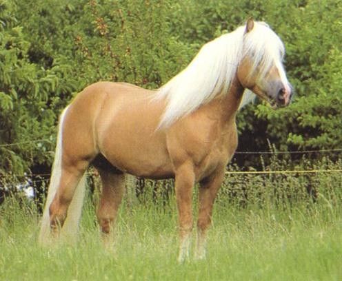 Encore un blond....